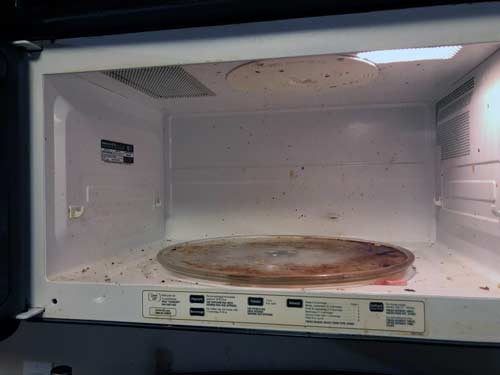 microwave-cleaning-clean-and-simple-cleaning